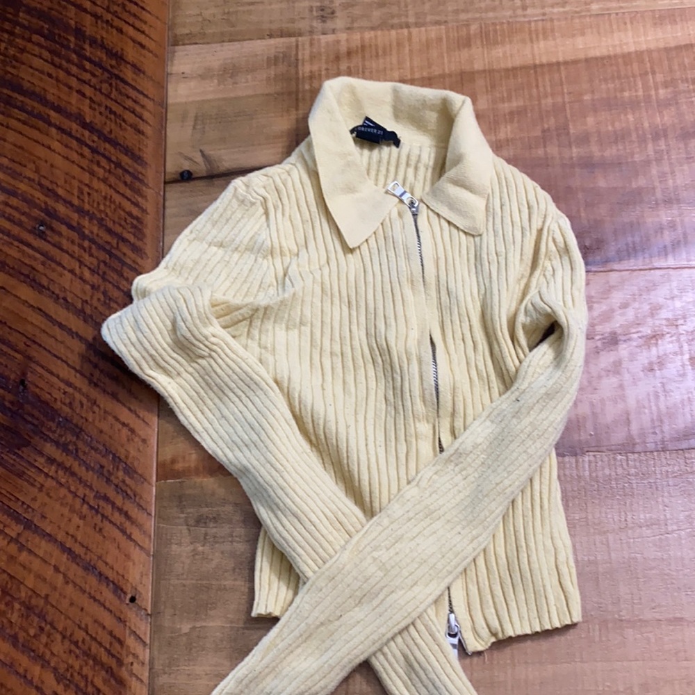 Forever 21 Cropped Sweater